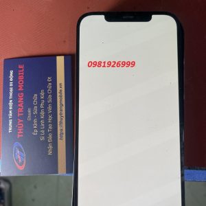 Sửa Lỗi Màn Hình Xanh Trắng Trên iPhone 12 Pro
