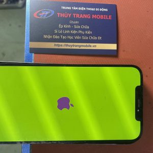 Sửa Lỗi Màn Hình Xanh Trắng trên iPhone 13