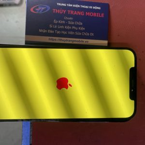 Sửa Lỗi Màn Hình Xanh Trắng Trên iPhone 12 Pro Max